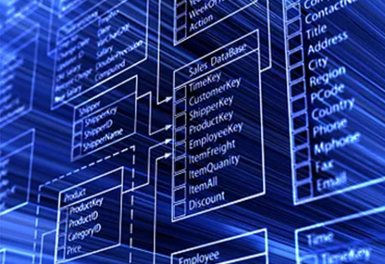 05 Home Bases de Datos